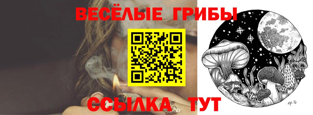Псилоцибиновые грибы Cubensis Арсеньев