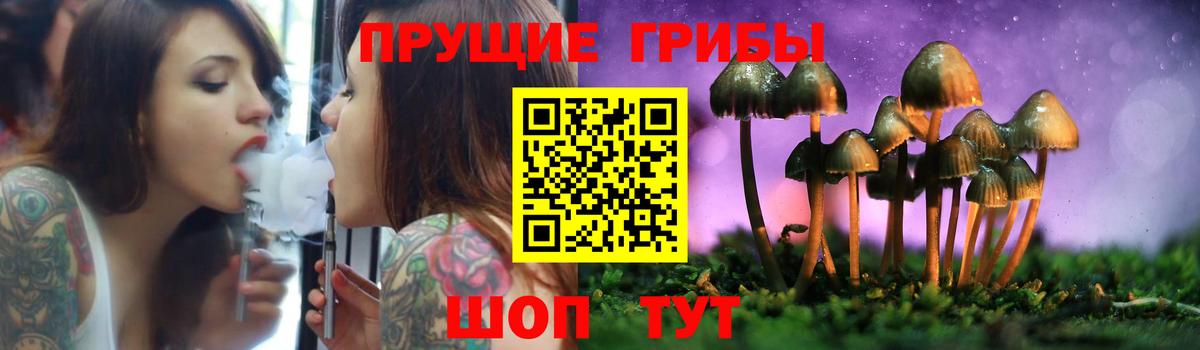 Галлюциногенные грибы Cubensis  Псилоцибиновые грибы MAGIC MUSHROOMS  Вход с VPN  Арсеньев 